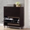 Simms Modern Shoe Cabinet - Baxton Studio