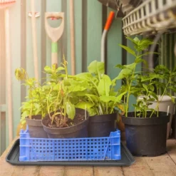 All Weather Boot Tray - Medium Water Resistant Plastic Utility Shoe Mat For Indoor And Outdoor Use In All Seasons By Stalwart (Set Of Two, Dark Grey) 10 All Weather Boot Tray - Medium Water Resistant Plastic Utility Shoe Mat For Indoor And Outdoor Use In All Seasons By Stalwart (Set Of Two, Dark Grey) -Home Storage Store GUEST 3700e1a2 5361 4344 80c1 25b93c43deaa