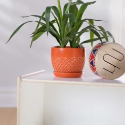 Guidecraft EdQ 2-Shelf Open Storage - 24" 8 Guidecraft EdQ 2-Shelf Open Storage - 24" -Home Storage Store GUEST 862cca7d d1d0 4c13 9160 88377d7da020