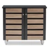 Gisela 2 - Door Shoe Storage Cabinet Dark Gray - Baxton Studio