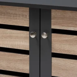 Gisela 2 - Door Shoe Storage Cabinet Dark Gray - Baxton Studio -Home Storage Store GUEST ecf57265 5edd 4772 827a 69b4baf0f673